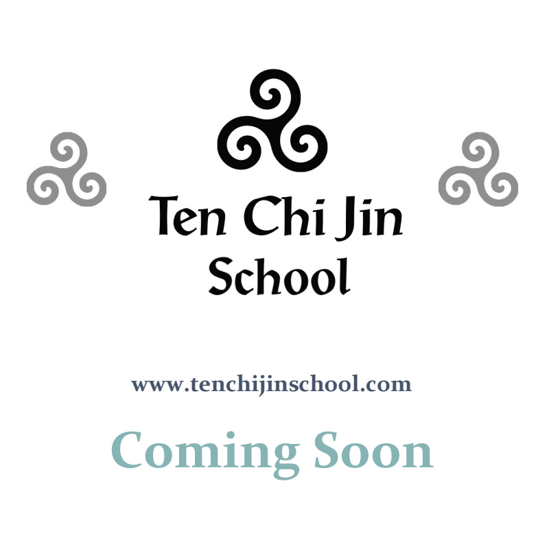 Ten Chi Jin School - Coming Soon
